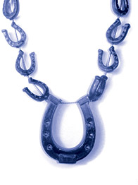 Blue Horseshoe necklace